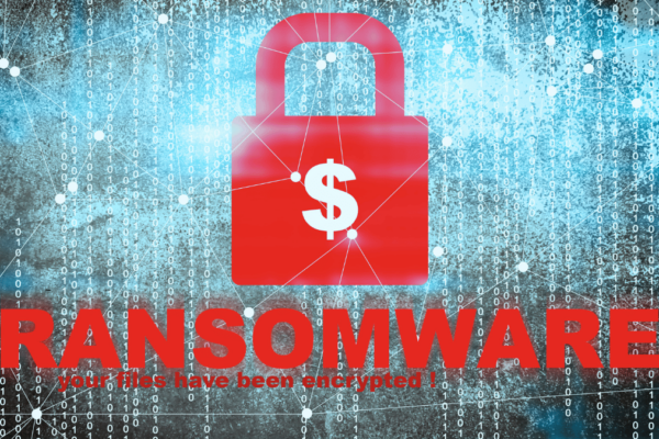 I Costi Del Ransomware