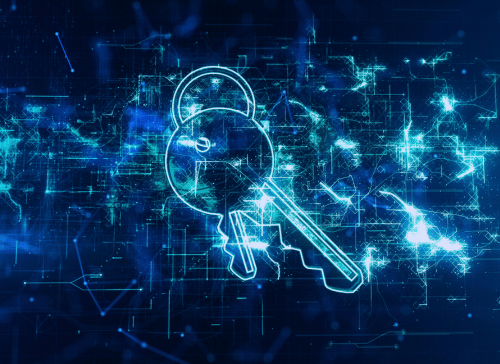 Gestione Privacy e Vulnerability Assessment